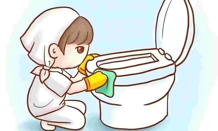 How to Clean a Smart Toilet