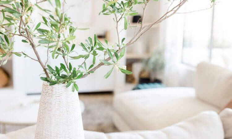 How to Create a Calm and Peaceful Home Environment