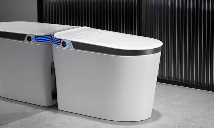 Is It Worth Spending More on a Smart Toilet