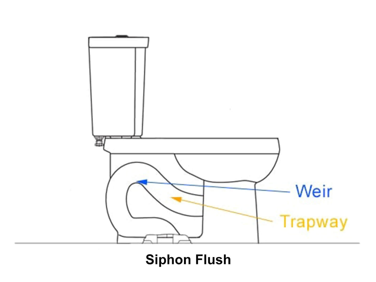 Siphon Flush