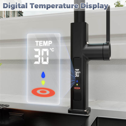 Smart kitchen faucet with digital temperature display for safety