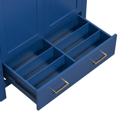 blue vanity with wet and dry storage compartments